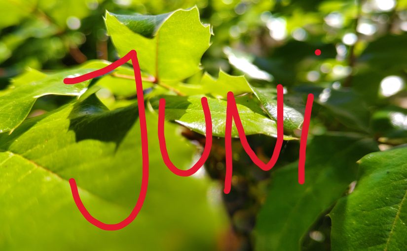 Das Wort "Juni" steht in roten Buchstaben auf Blättern in der Sonne